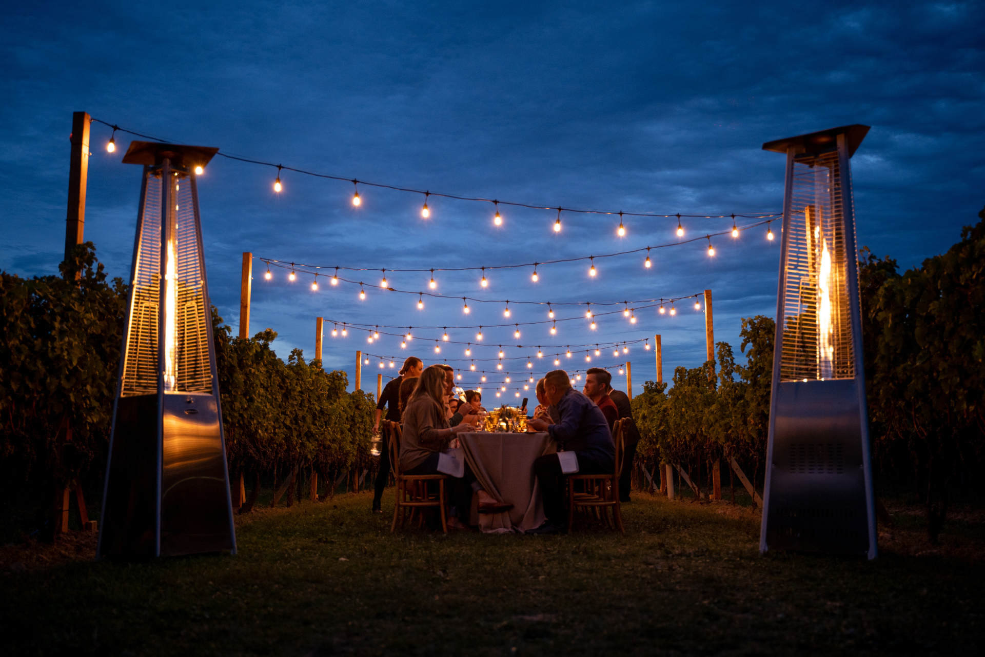 Vineyard Dining