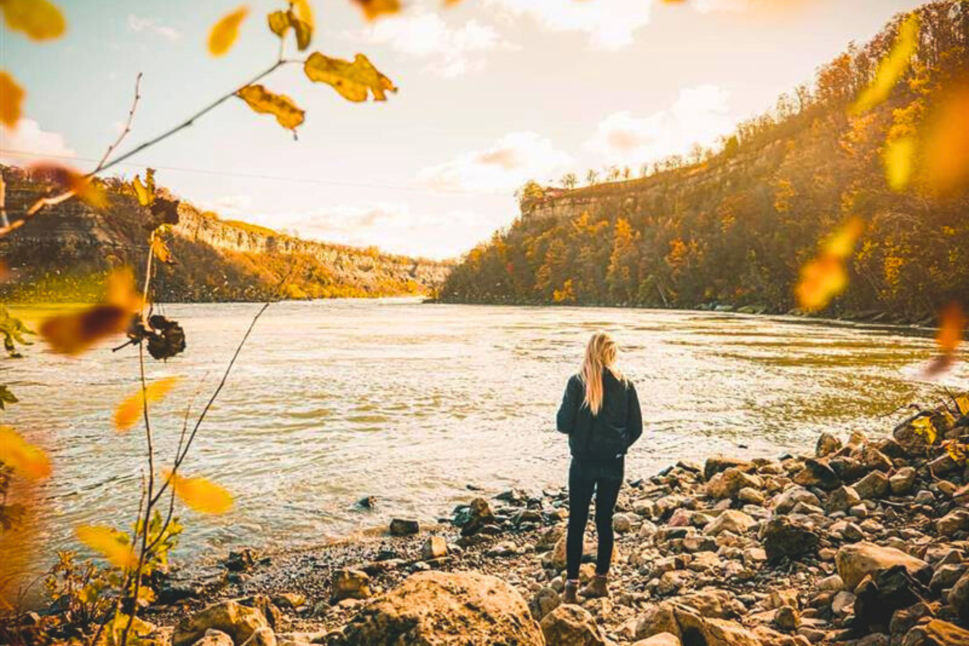 Niagara Glen and Nature Centre 