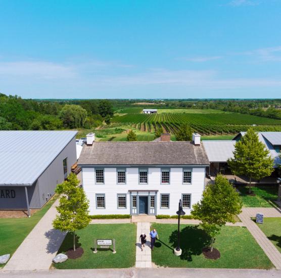 Ravine Vineyard Estate Winery Restaurant