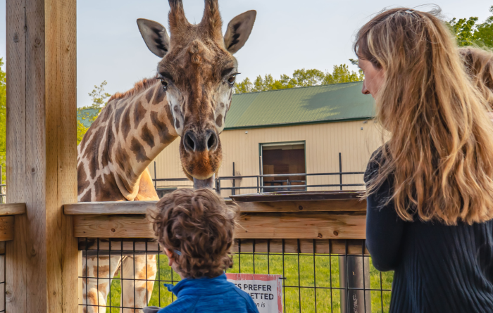 Exploring Wildlife Adventures in Niagara Falls